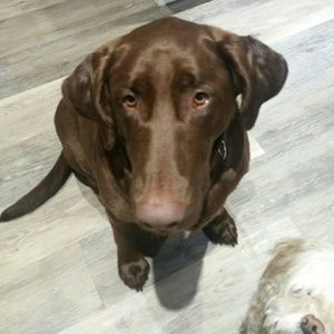 Meet your Posher, Mara